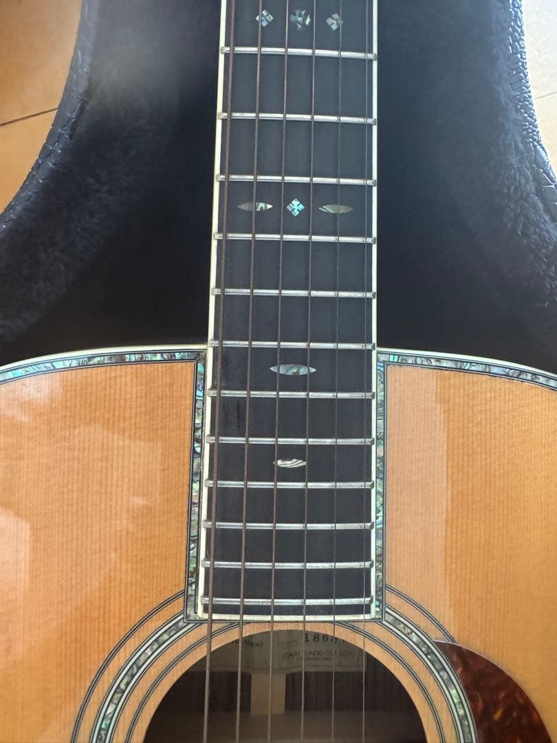 【美品】Cat's Eyes CE185T