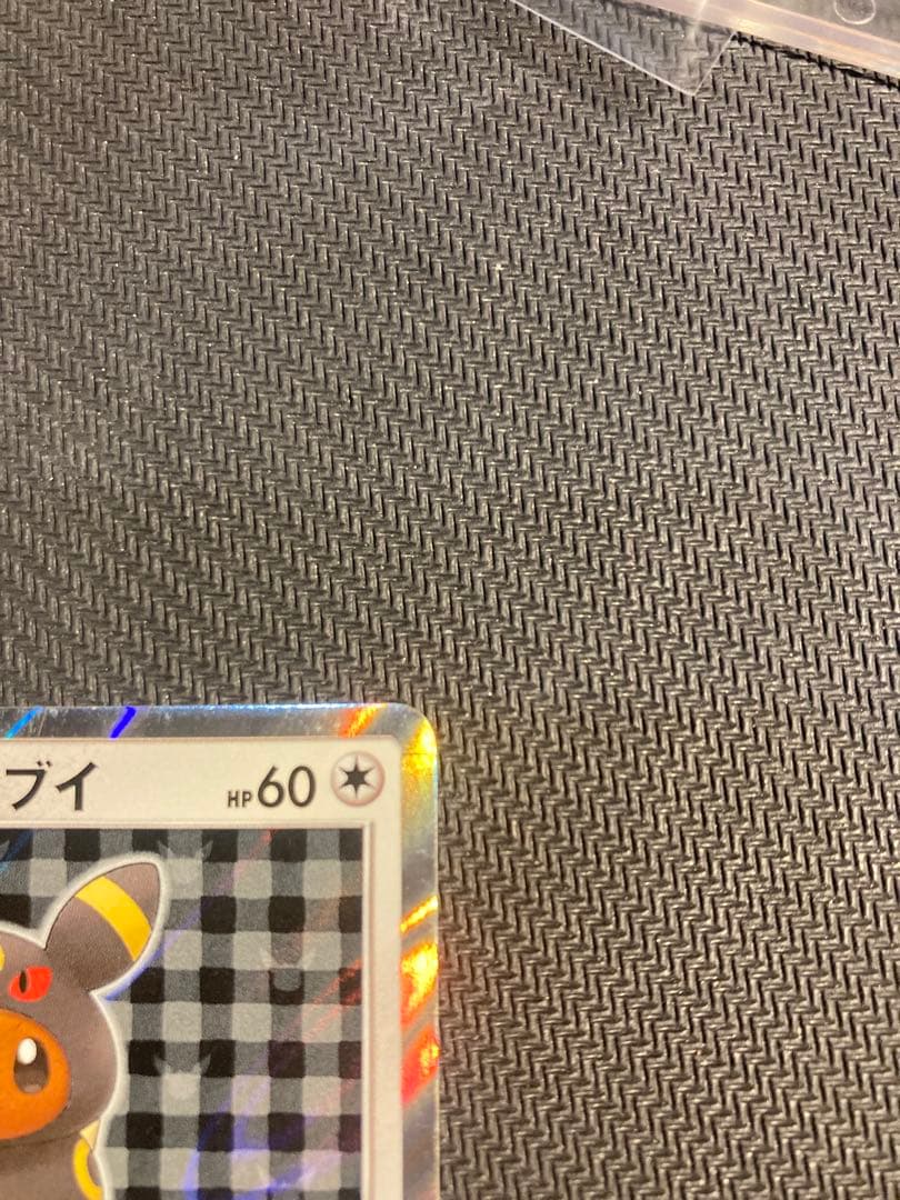 ポンチョを着たイーブイ（ブラッキー） PROMO SM-Pプロモカード 141…