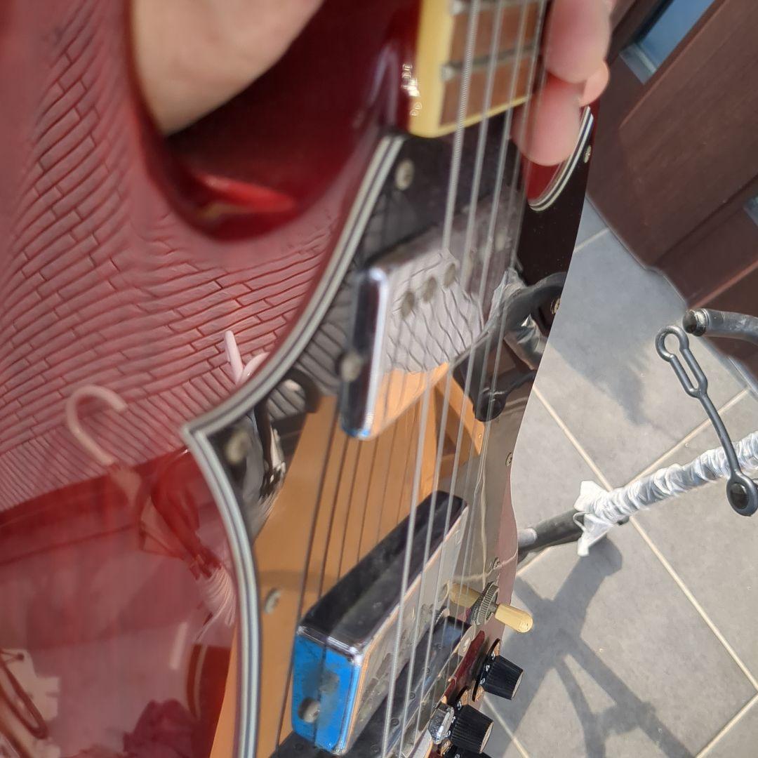 フェルナンデスバーニーSGモデル