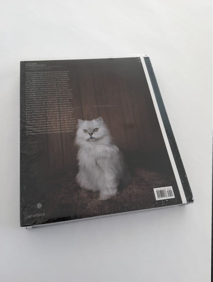 アート・デザイン・音楽 TODD HIDO: INTIMATE DISTANCE EXPANDED