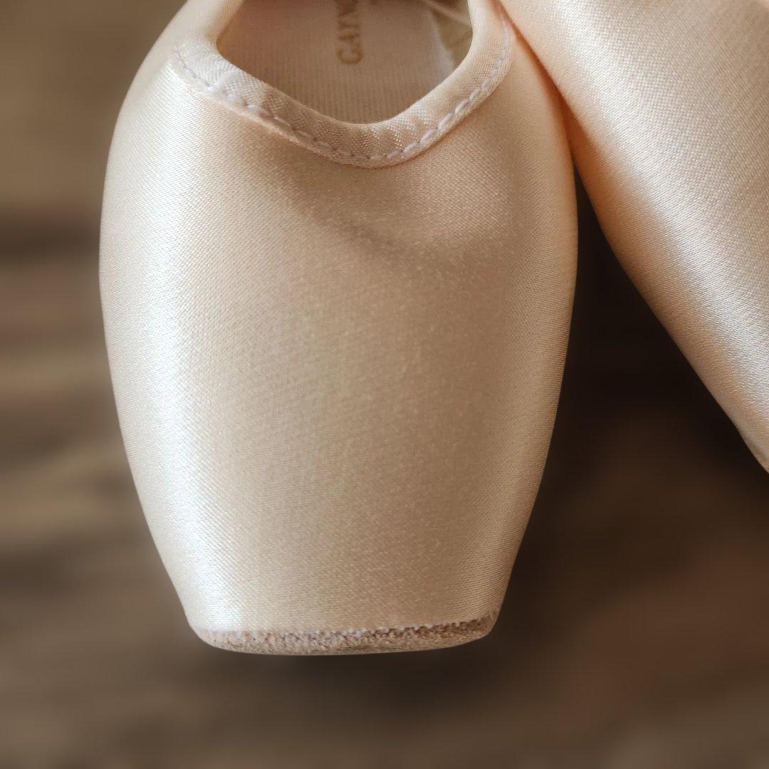 ゲイナーミンデン　トゥシューズ