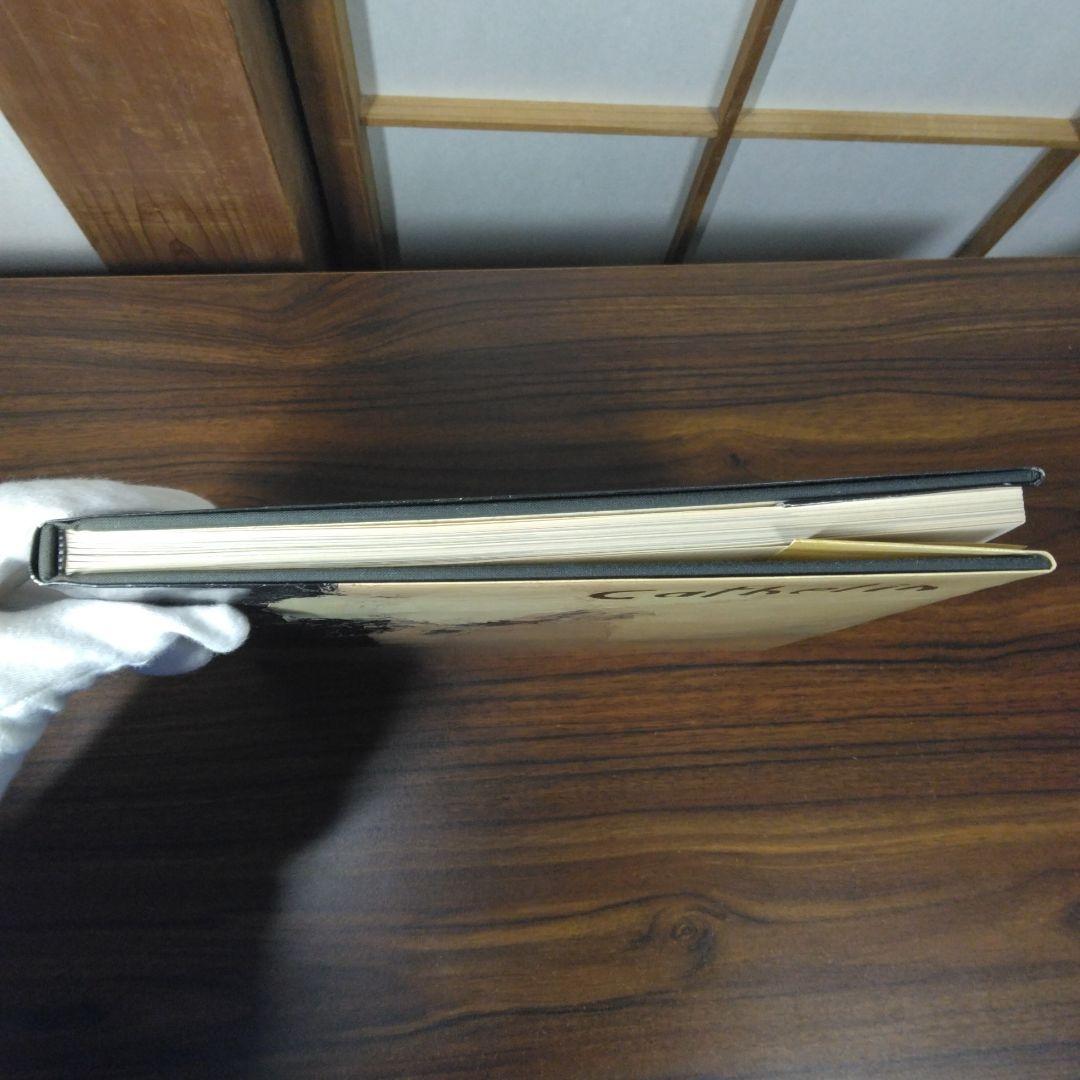 Cathelin　Expressions of Life　洋書　書込みあります。