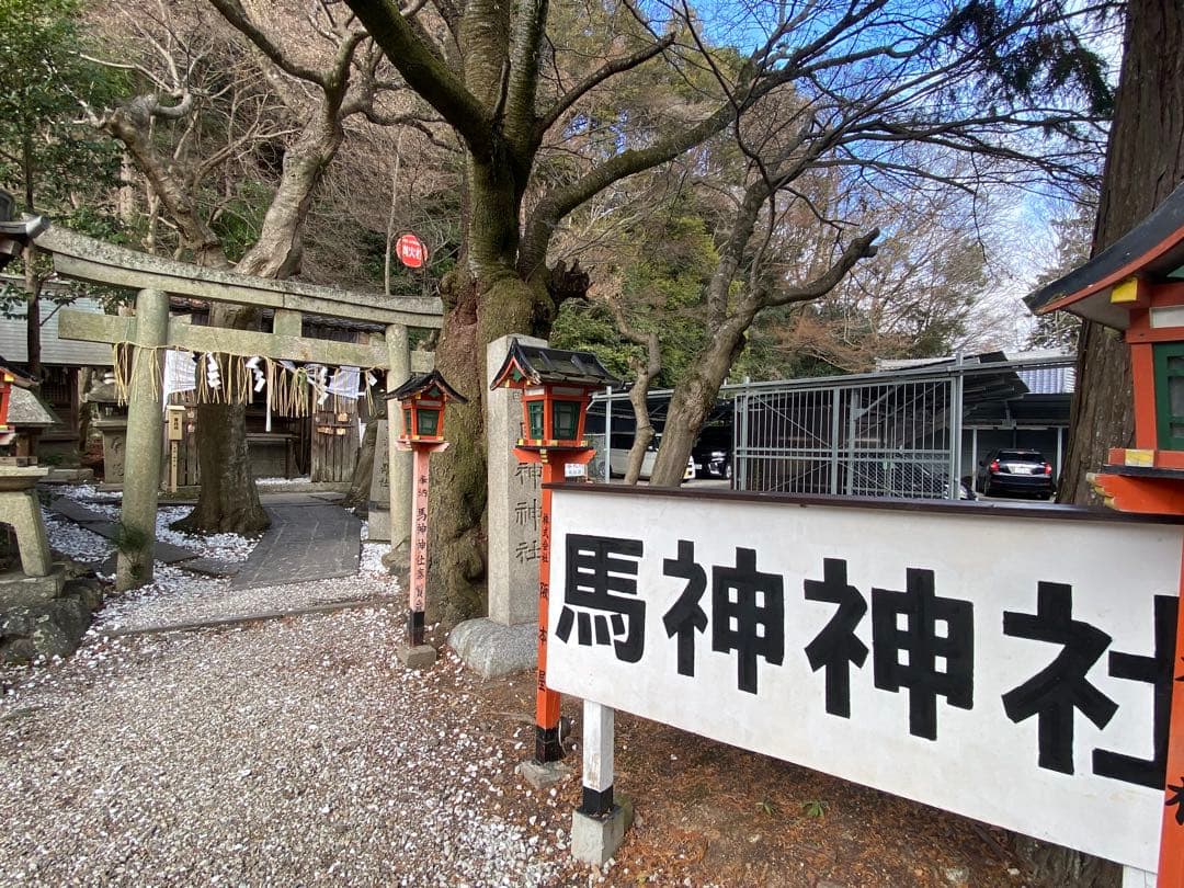 【勝運と馬の社】藤森神社、馬神神社、大馬神社、熊野本宮、往馬大社の御朱印セット
