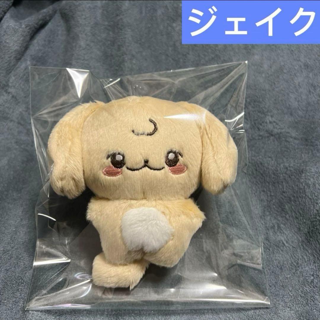 enhypen ぬいぐるみ　10cm 新品　マスター　ソヌ　ニキ　ジョンウォン