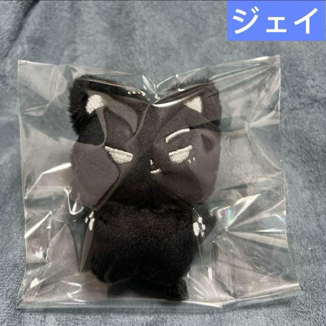 enhypen ぬいぐるみ　10cm 新品　マスター　ソヌ　ニキ　ジョンウォン