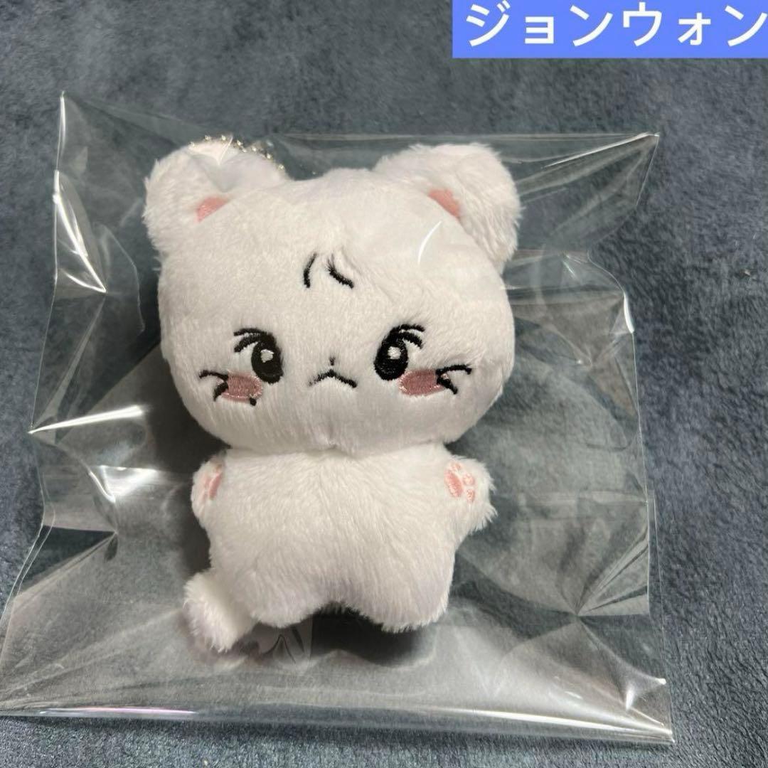 enhypen ぬいぐるみ　10cm 新品　マスター　ソヌ　ニキ　ジョンウォン