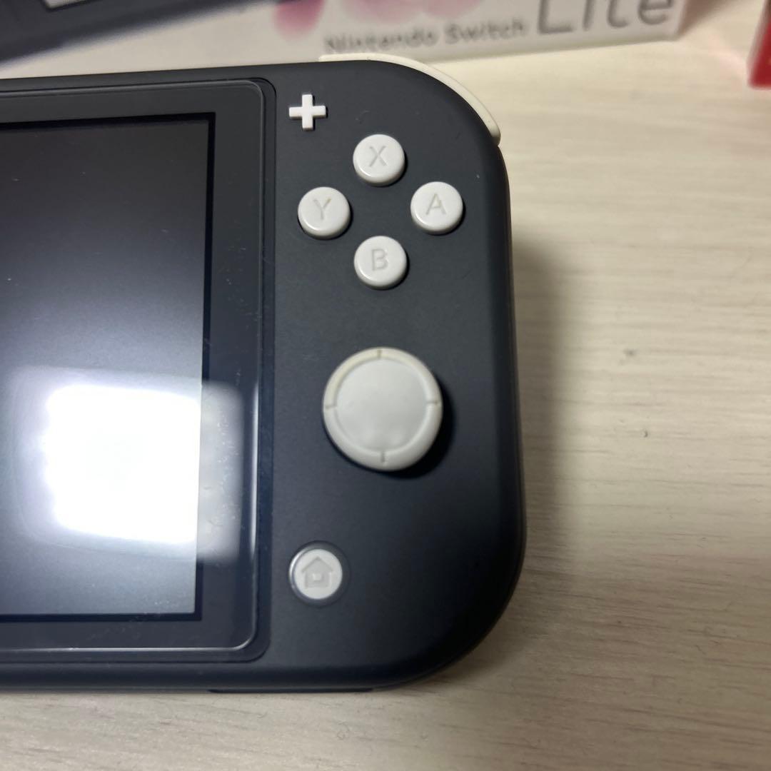 Nintendo Switch Lite グレー 本体 + ゲーム2本