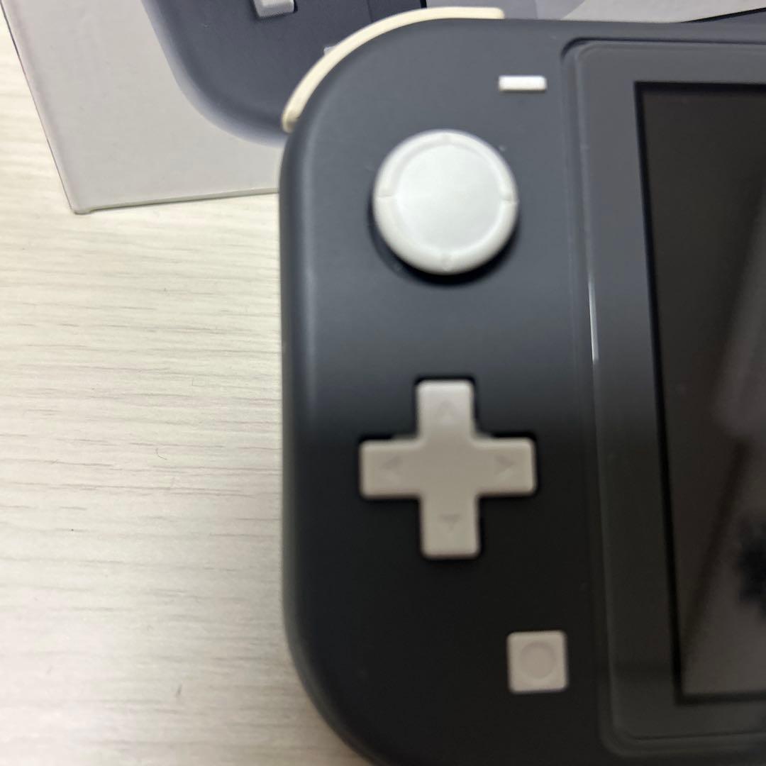 Nintendo Switch Lite グレー 本体 + ゲーム2本