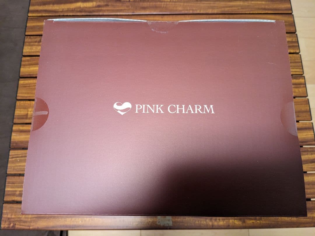 イヴBODY HARNESS_Ver. 1/6 フィギュア Pink・Charm