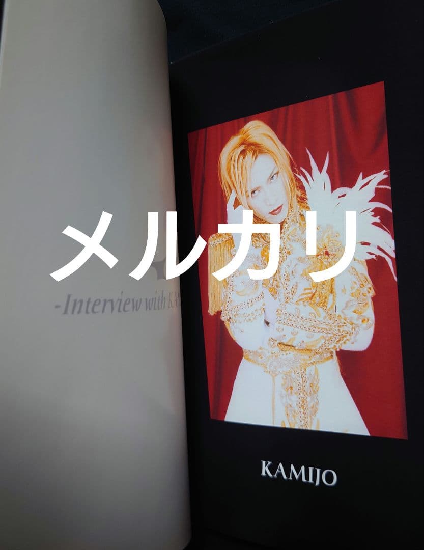 LAREINE KAMIJO 自主レーベル オフィシャルブックと配布CDセット