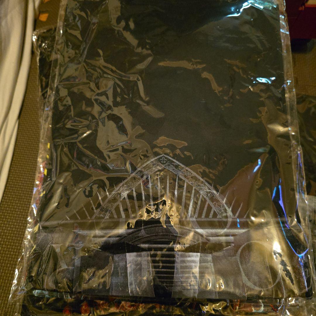 BABYL Tシャツ（ロンT 1枚含む）13枚セット