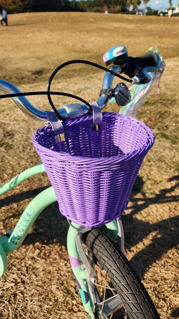 ELECTRA SPROCKET 16\" エレクトラビーチクルーザー