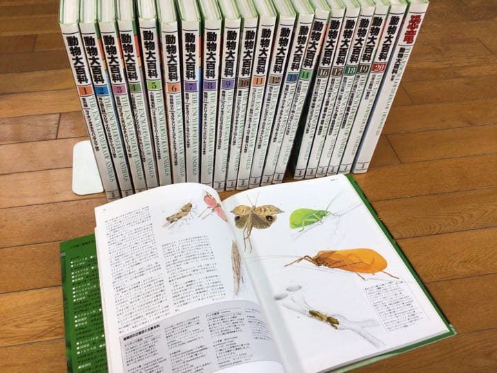 動物大百科　全20巻＋別冊(恐竜) 平凡社