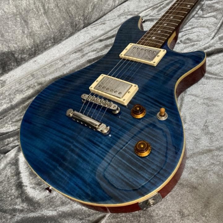 EDWARDS E-PO-100D Seymour Duncan PU搭載