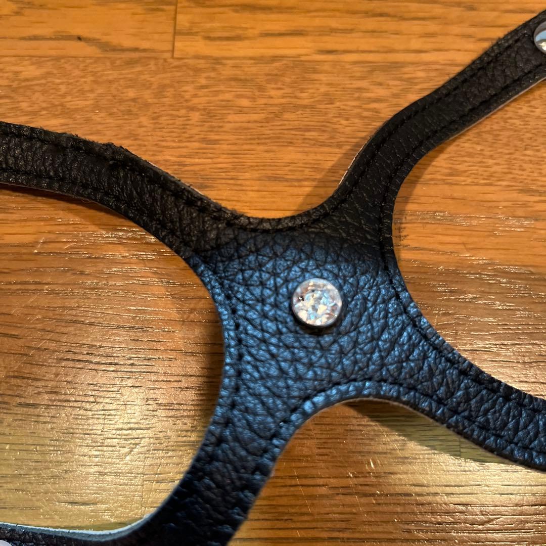 BUDDY BELT バディベルト　ブラック5