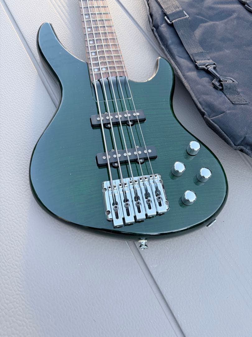 Chatting Bird チャッティングバード5弦エレキベース ギグバッグ付き