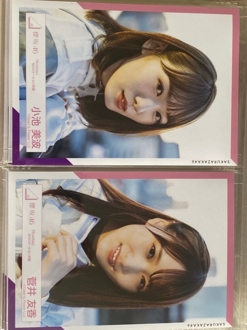 欅坂、櫻坂46生写真バラ売り可