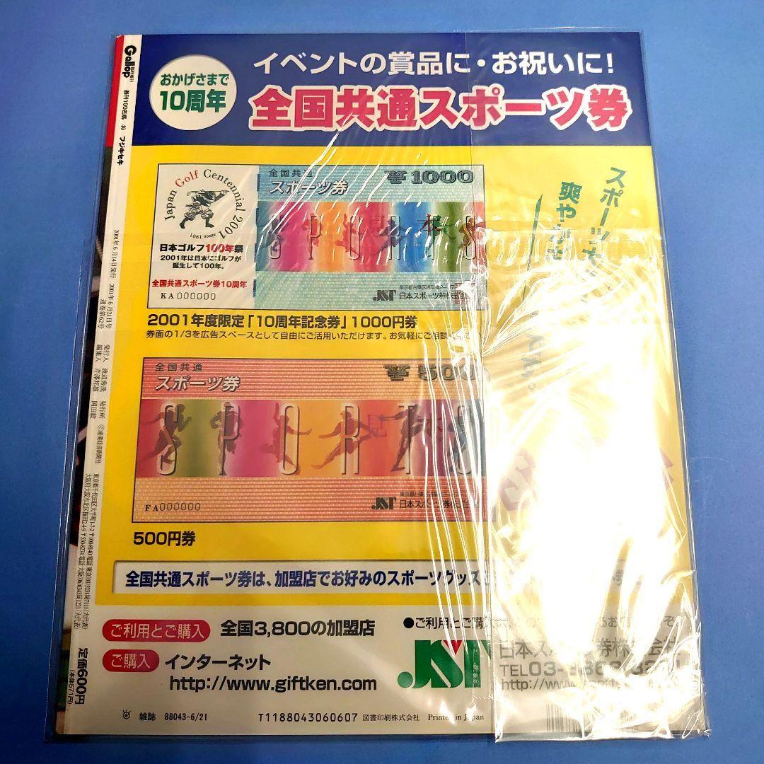 【稀少】フジキセキ ウマ娘 ぬいぐるみ 競馬 馬 アイドルホース AVANTI