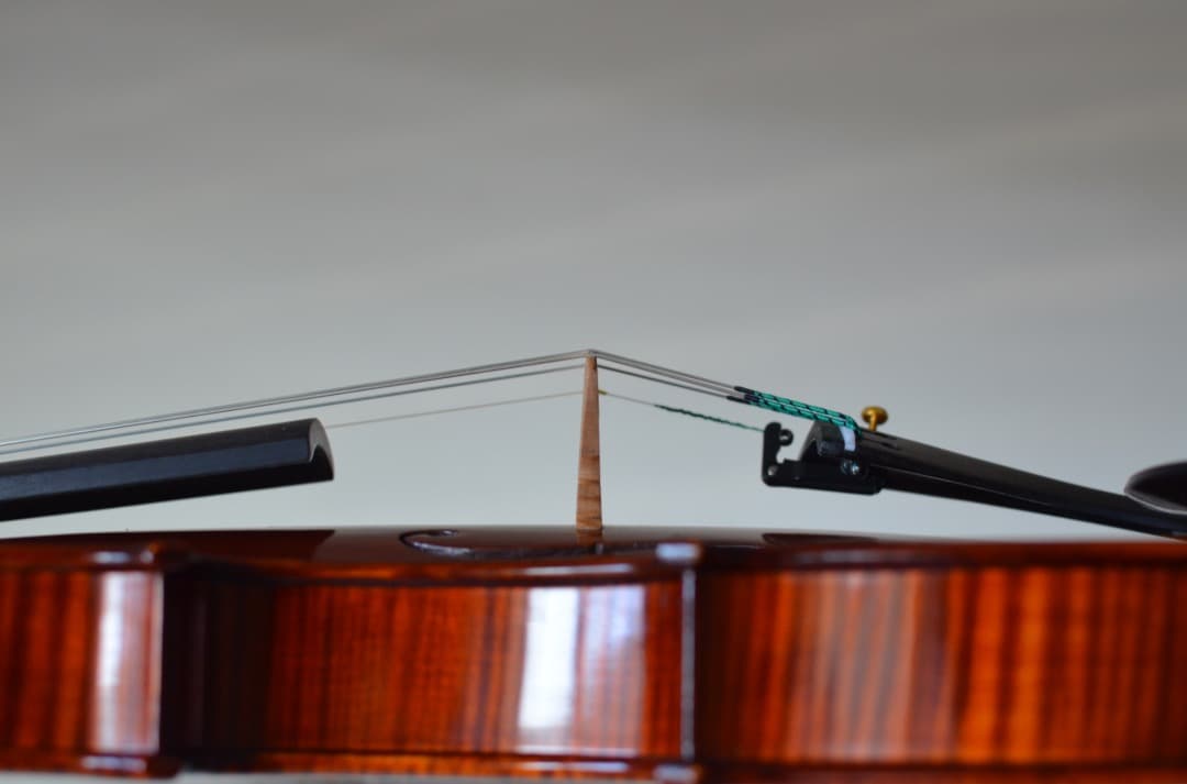 【新品】Gliga Cristian Maestro 4/4 そうちゃん