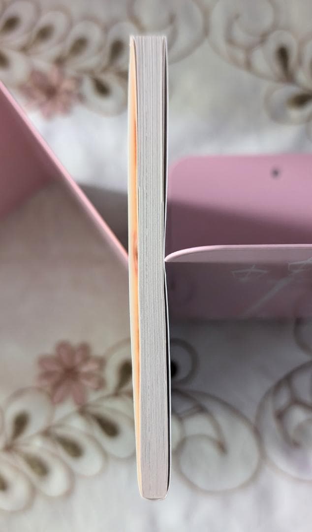 イソベやん オールカラー傑作選 イソフラ・ボン次郎 デデデデ 12 限定版特典