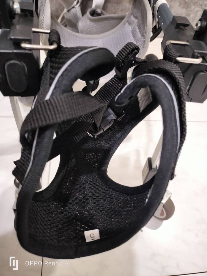 犬用車いす 調整可能 軽量折りたたみ