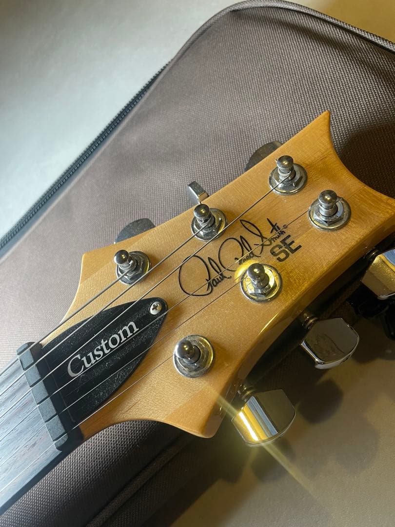 ギター PRS SE custom24 Trampas Green