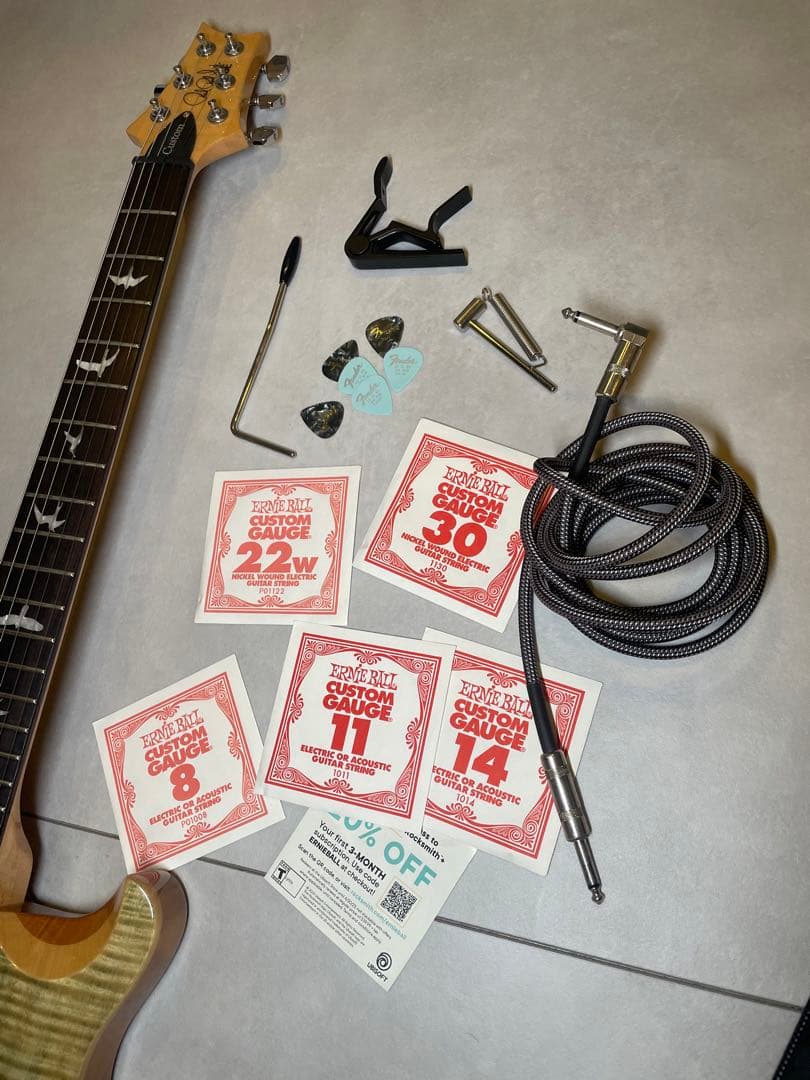 ギター PRS SE custom24 Trampas Green