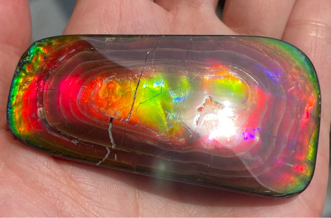 【期間限定セール】アンモライト 天然研磨ルースストーン