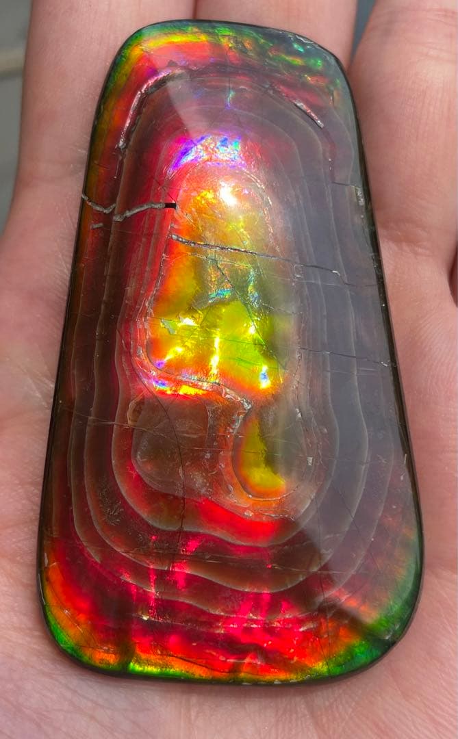 【期間限定セール】アンモライト 天然研磨ルースストーン