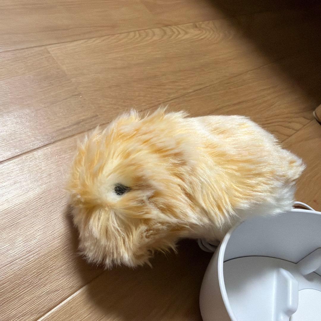 CASIO Moflin gold モフリン ゴールド