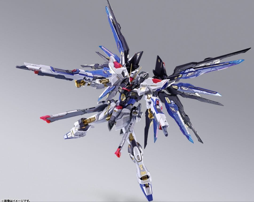 L BUILD ストライクフリーダム　FESTIVAL 2024