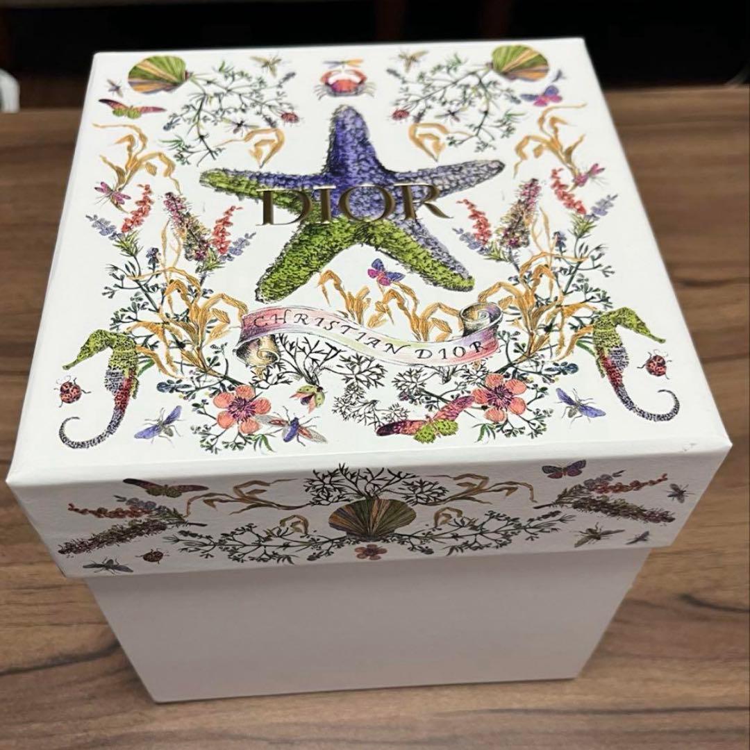 N*4様 非売品　クリスチャンディオール スノードーム