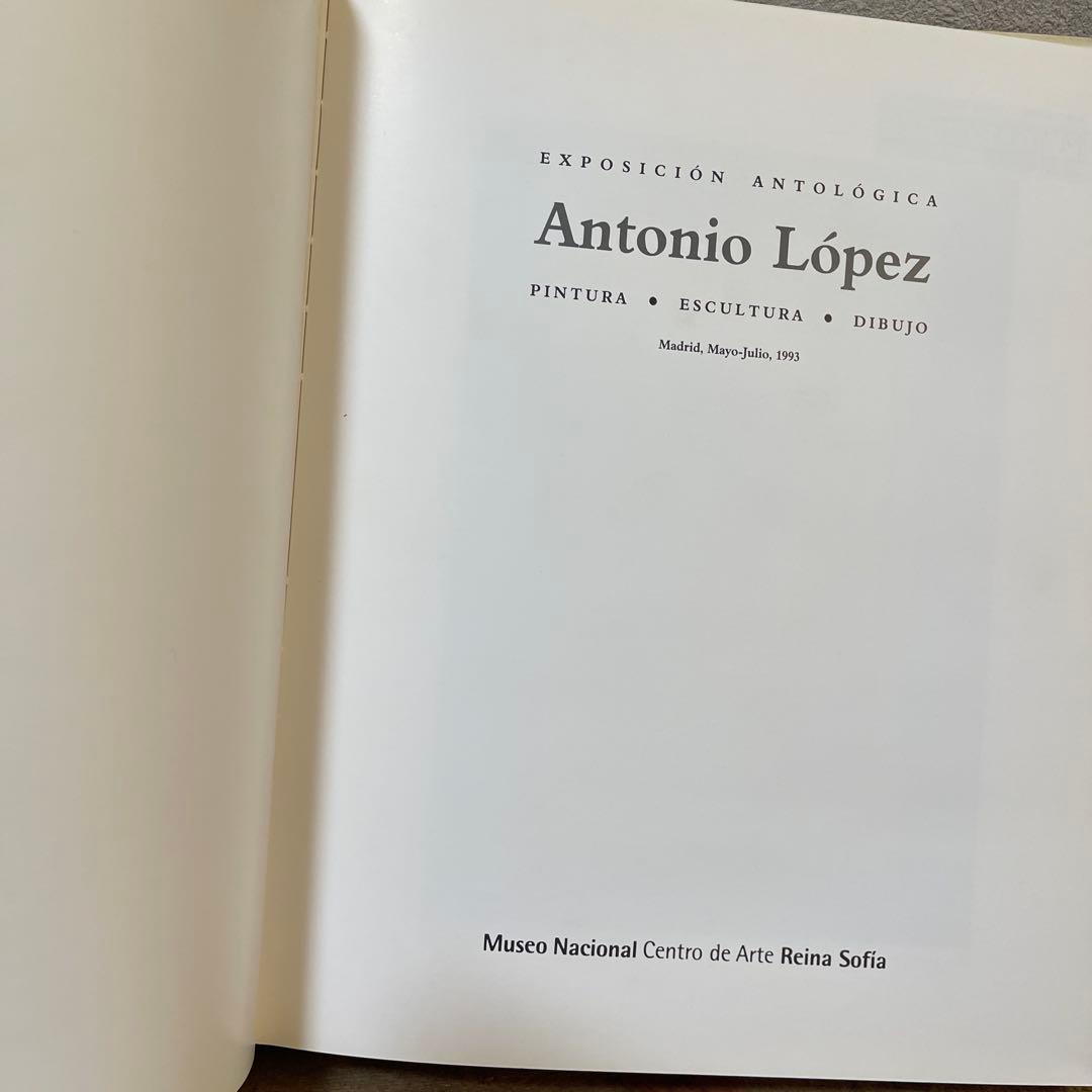 アントニオロペス　アントニオ・ロペス・ガルシア　画集　洋書　油絵