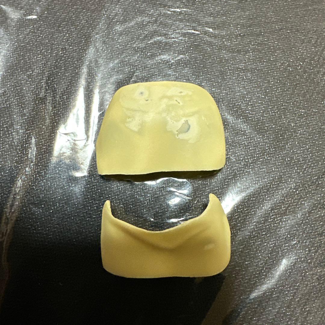 ガンダムSEED 1/6 ミリアリア•ハウ　ガレージキット