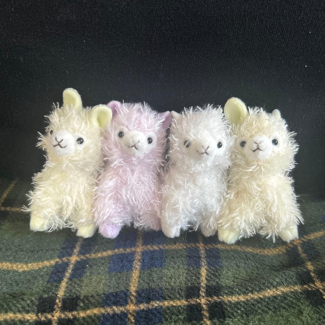 アルパカ アルパカッソ キーホルダー ぬいぐるみ レア