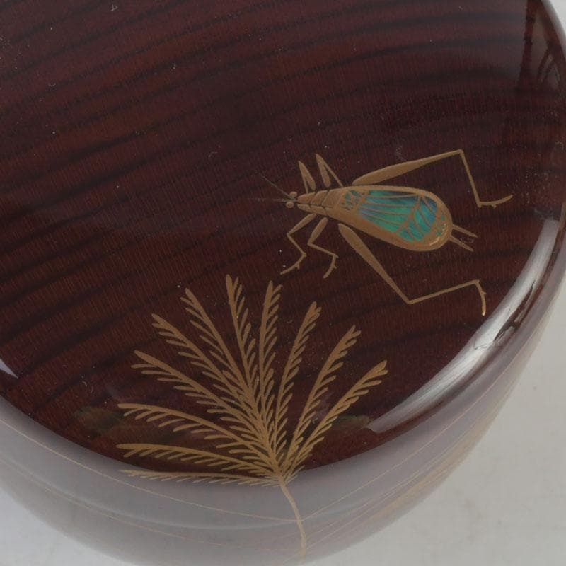 茶道具　田中宗凌作　欅溜塗　螺鈿装飾　虫に秋草蒔絵　中棗　共箱　V　9773