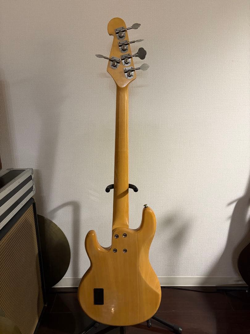 SX スティングレイ