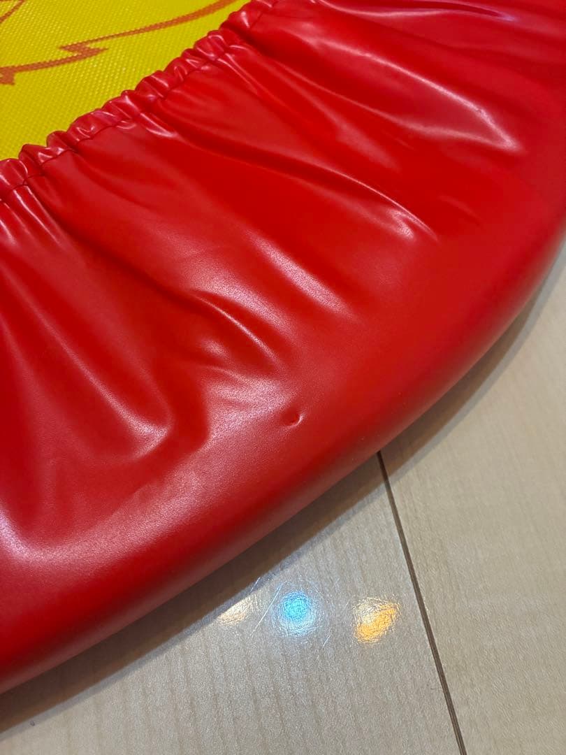 【送料無料】トランポリン DVD付き/ Zippy Jump and Sing