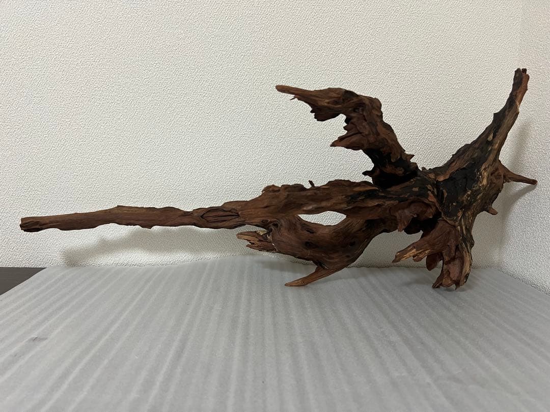 HX-080 流木　ホーンウッド　マシンガンウッド　アクアリウム　ブランチウッド