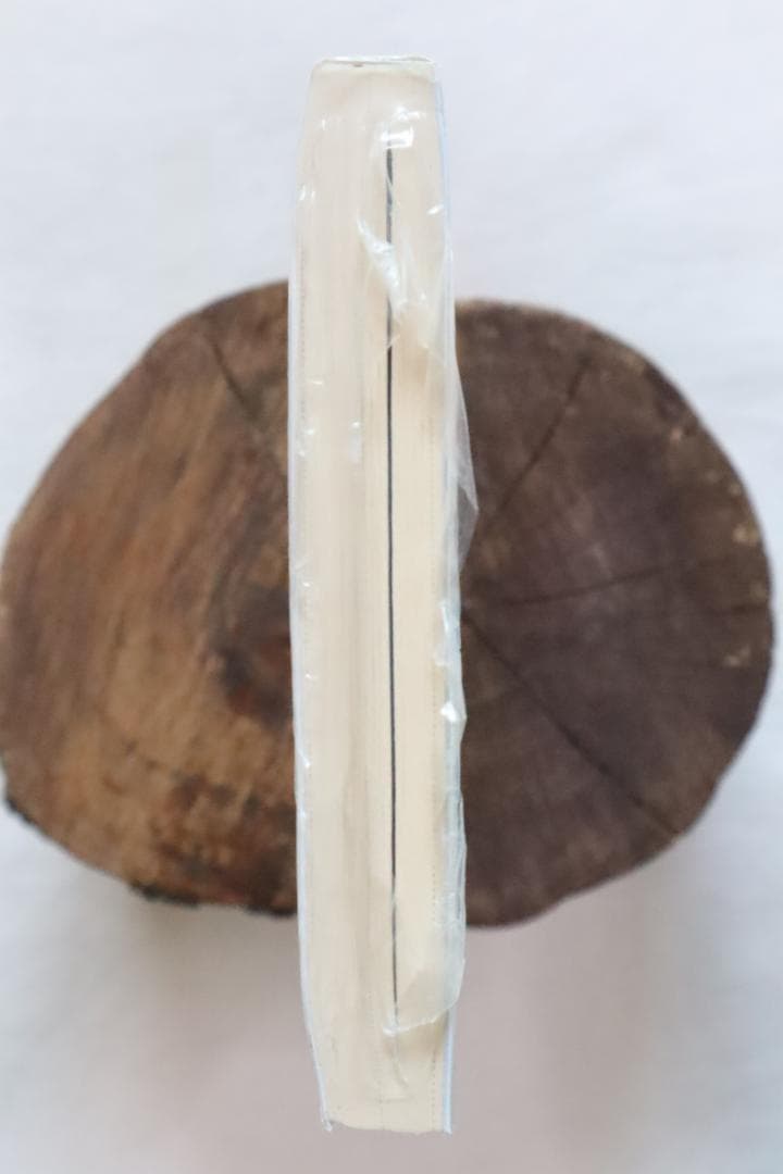 文庫本 アルトネリコ2 世界に響く少女たちの創造詩 富松元気著