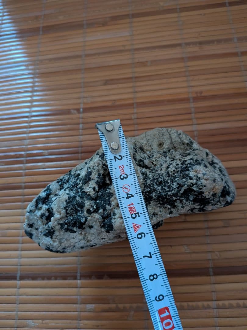 南極の石 コレクション用