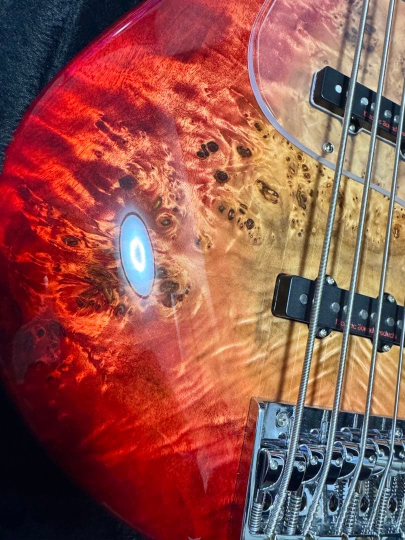 ベース ESP AMAZE CTM SL5 Poplar Burl 5st