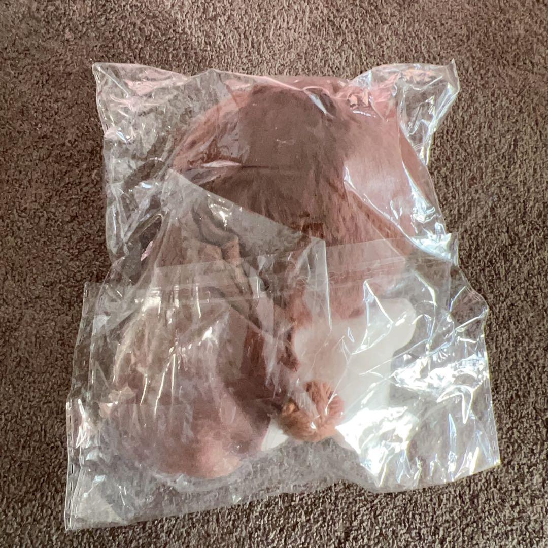 ミンハオ　ぬいぐるみ　10cm 新品　マスター　セブチ　svt