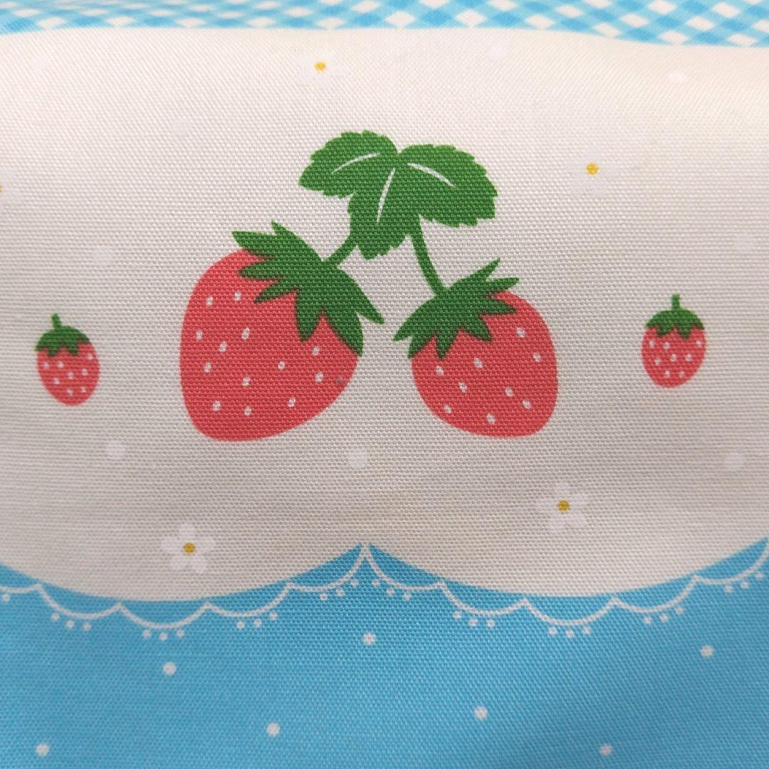 レッスンバッグ　シューズバック　巾着袋　セット　　イチゴ水色