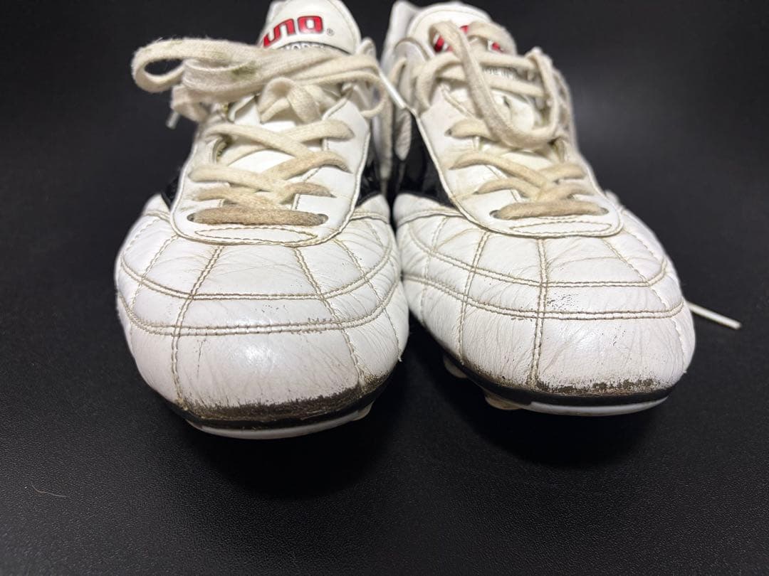 モレリア2 クロスステッチ サイズ27.0