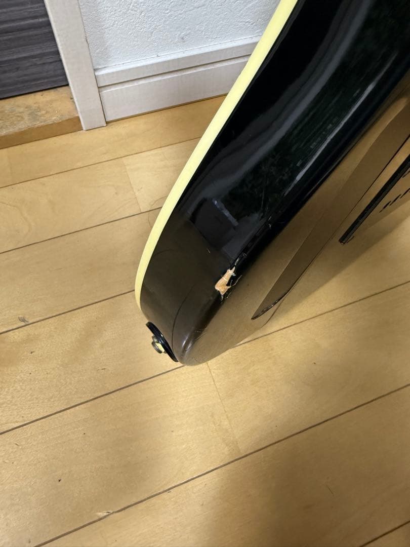 FERNANDES フェルナンデス　TEJ55G 布袋