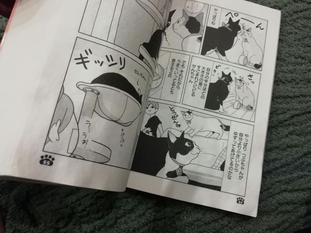 1 - 24 巻　ワカコ酒、ねこびたし　全巻　1-5　新久千映　21 22 23