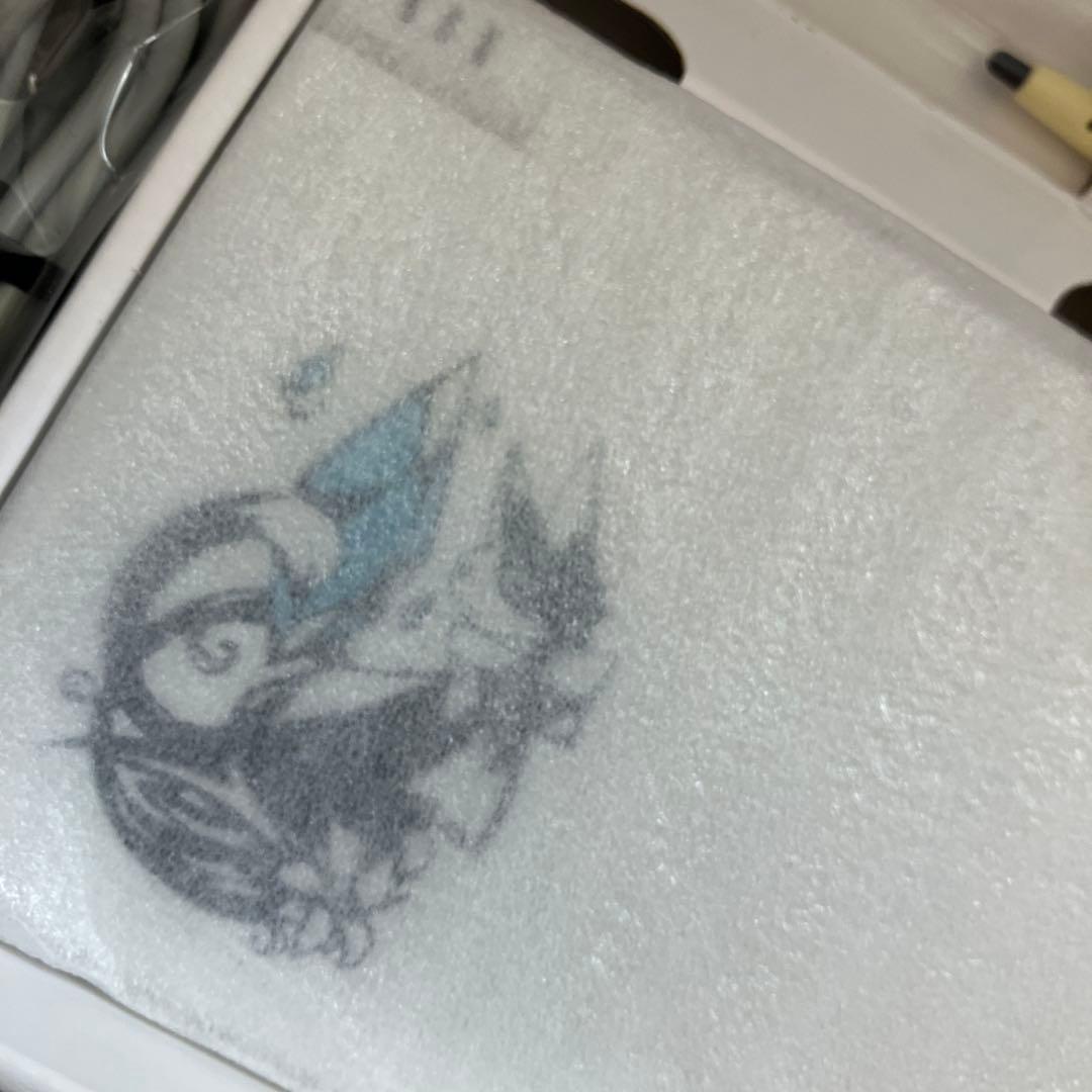 スクウェア・エニックス NINTENDO DS FFCC エコーズ・オブ・タイ…