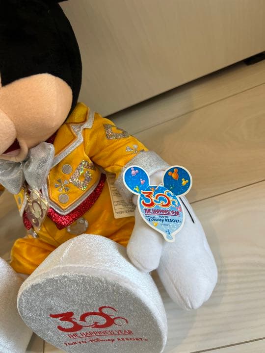 【ディズニー】ディズニーリゾート購入　自立　ミッキー　30周年　ミニーぬいぐるみ