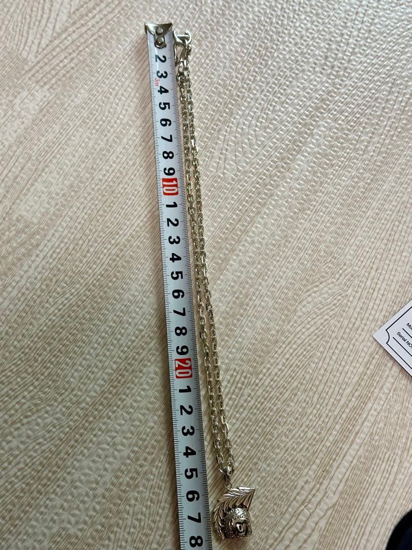 貴重！【長渕剛】イカイカペンダント FIRST ARROWSチェーン付き